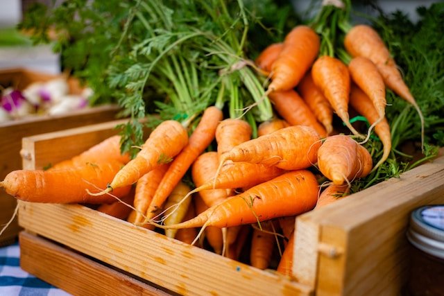 Environmental Impacts Of Carrot Farming