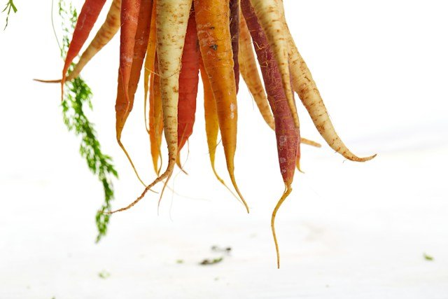 Carrots As Producers